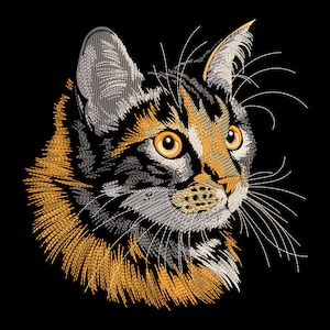 May include: A close-up of a cat's face with orange, black and white fur. The cat has green eyes and is looking to the right. The background is black.