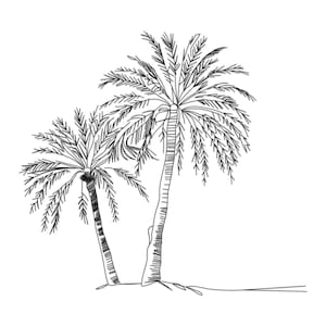 May include: A black and white line drawing of two palm trees. The trunks are textured with vertical lines, and the fronds are detailed with individual leaves. The trees are set against a plain white background.