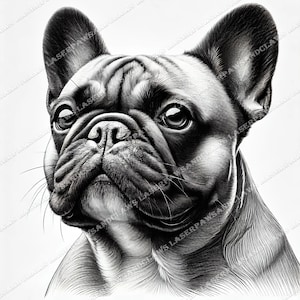 Frenchie Bulldog Francês Gravar a Laser PNG Ilusão 3D Gravar Laser Pronto Arquivo de Design Digital Retrato Gravura de Cachorro Retrato Xtool Glowforge