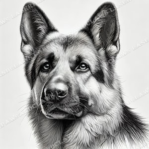 Berger allemand gravure laser PNG 3D illusion graver fichier de conception numérique prêt au laser Portrait chien gravure Portrait Xtool Glowforge