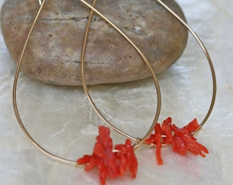 May include: Gold hoop earrings with coral accents. The hoops are thin and delicate, and the coral is a vibrant red.