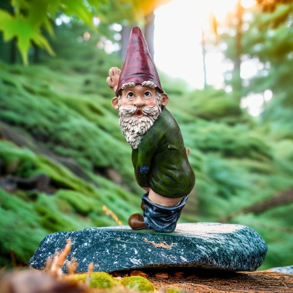 Funny Garden Gnome Etsy