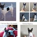 see more listings in the Custom Dog Sculpture section