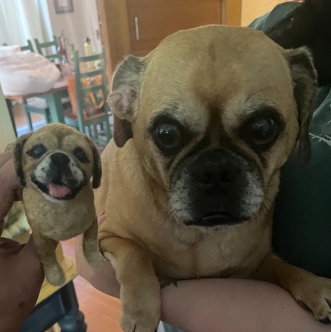 Beagle Pug Dog Puggle Dog Price Full Grown Beagle Pug Puppy Puggle