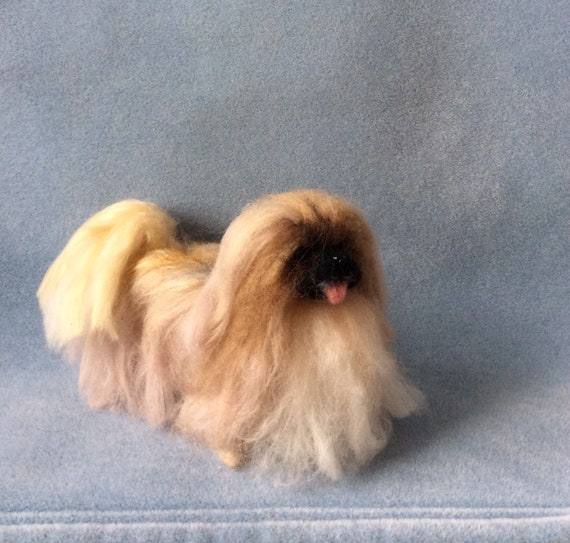 Pekingese puppies near me