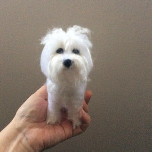 Réplique personnalisée feutrée de chien en coton de Tuléar portrait sculpture commémorative d'animal de compagnie