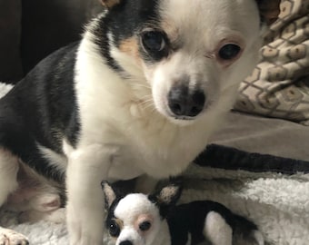 Personalized felted  Chihuahua dog custom animal Sculpture