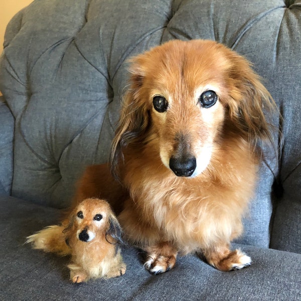 Custom needle felted Dog portrait Dachshund Doxie soft sculpture pet