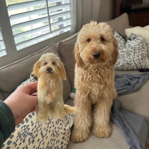 Goldendoodle dog replica needle felted Sculpture made to order