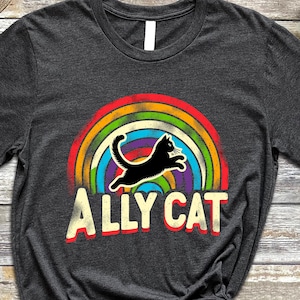 Pride Ally Cat Shirt, Retro Rainbow Colors Cat Ally Shirt, Cat Pride Shirt, Funny Pride Shirt, LGBTQ Shirt, LGBT Gifts, Love Is Love T-Shirt