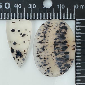 May include: Two polished dendritic agate cabochons with black fern-like inclusions on a translucent off-white base. The shield-shaped stone measures approximately 1.25 inches in height, while the oval stone measures approximately 1.5 inches in height, as shown against a black ruler.