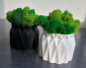 Tall Voluminous Moss Pot | Black or White | Modern Design | Client Gift | Centerpiece for Dining Table | Moss Art