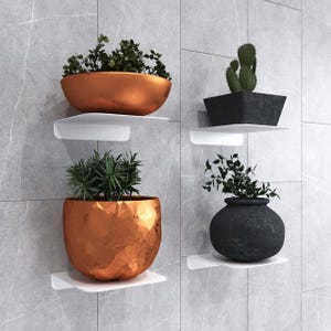 Könnte beinhalten: Vier weiße Wandregale, jedes mit einer Pflanze in einem dekorativen Topf. Die Töpfe sind kupferfarben, schwarz und ein schwarzer quadratischer Topf. Die Pflanzen sind grün und belaubt, und ein Kaktus ist in einem Topf. Die Regale sind an einer grau gefliesten Wand befestigt.