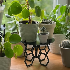 Può includere: Una collezione di piante in vaso, tra cui una Pilea peperomioides, piante grasse e un cactus, esposte su una superficie di legno. Un supporto per piante in metallo nero con un design geometrico sostiene vasi più piccoli. Le piante hanno foglie verdi e sono in vasi bianchi e grigi.