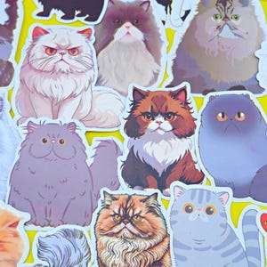 Persian Cat Stickers Pack, 52 pieces a pack, Waterproof, Reusable, Very Cute!!