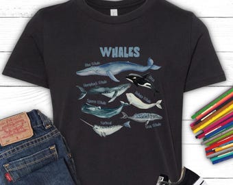 Whale Species Youth T-shirt, Marine Life Graphic Tee