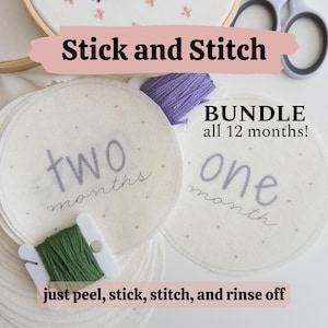 Patrón y guía de bordado a mano de hitos mensuales para bebés con Stick and Stitch, regalo para recién nacidos, baby shower para nuevas mamás, idea de bricolaje para fiesta de anidación