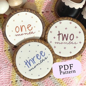 Patrón PDF de bordado a mano de hitos mensuales para bebés, instrucciones fáciles de bricolaje y guía de puntadas, regalo de baby shower para recién nacidos, fiesta de anidación para nuevas mamás
