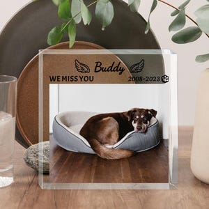 Può includere: Un blocco di acrilico trasparente con una foto di un cane marrone in una cuccia grigia. Il blocco presenta il testo "Buddy" con ali d'angelo, "WE MISS YOU" e gli anni "2008-2023".