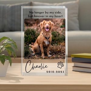 Può includere: Un blocco di acrilico trasparente con una foto di un cane, il nome "Charlie", un'impronta di zampa e le date 2010-2023. Il testo sopra la foto recita "Non più al mio fianco, ma per sempre nel mio cuore."