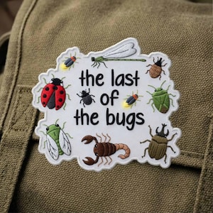 Puede incluir: Parche bordado con ilustraciones de insectos coloridos, incluyendo una mariquita y una libélula, rodeando el texto "the last of the bugs". El parche blanco tiene un borde decorativo y está sobre un fondo verde.