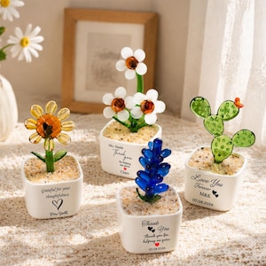 Puede incluir: Cuatro plantas de cristal pequeñas en macetas cuadradas de cerámica blanca rellenas de guijarros. Las plantas incluyen un girasol amarillo, margaritas blancas, una suculenta azul y un cactus verde con texto negro impreso.