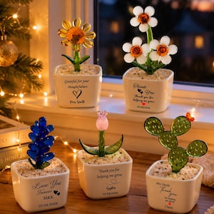 Può includere: Cinque piccole piante in vetro in vasi quadrati di ceramica bianca riempiti di ciottoli chiari. Ogni vaso presenta testo e simboli stampati in nero. Le piante includono un fiore giallo, fiori bianchi, una succulenta blu, un tulipano rosa e un cactus verde.