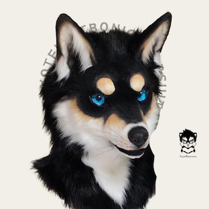 Handsome Husky Puppy Fursuit Head, Custom Fursuit Head, Kenomo Theme Party, Fursuit Mask, Fur, Fursuit Preforms, Fursuit Fans, Cosplay