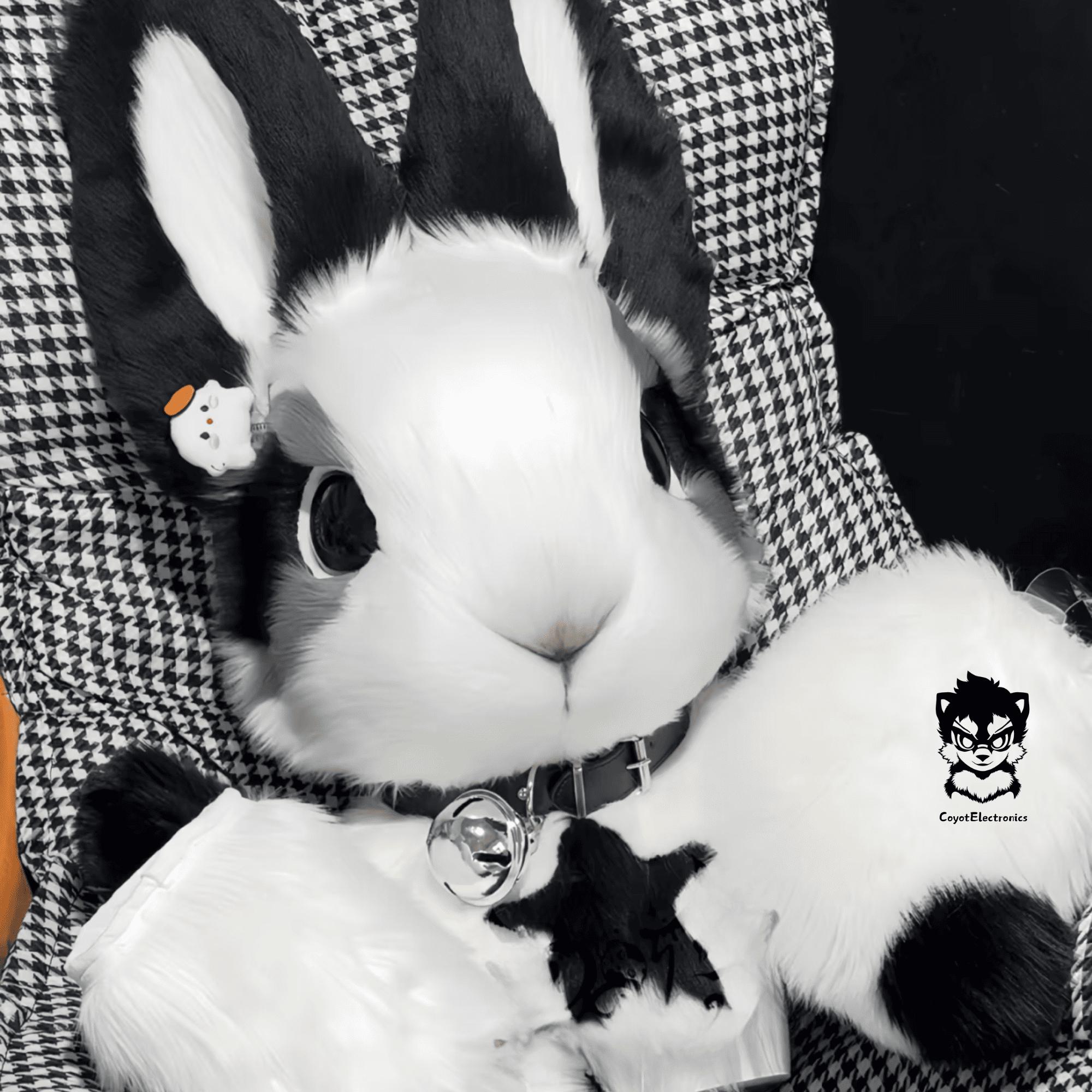 Shining Black Star Rabbit Fursuit Head, Custom Fursuit Head