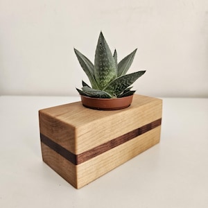 Indoor Sukkulenten Pflanzer