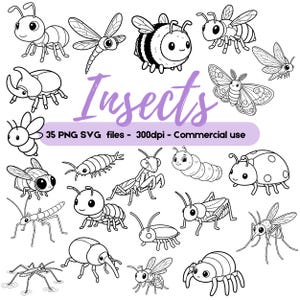 Insekten Line Art Clipart | Käfer Doodles | Schlichte Gliederkette Insekt | Kawaii Käfer Malvorlagen Elemente PNG
