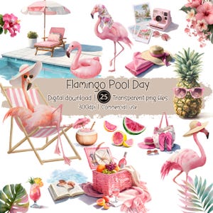 Paquete de imágenes prediseñadas de flamencos en la piscina / 25 imágenes PNG de verano tropical / Imágenes prediseñadas de vacaciones en la playa rosa, cócteles, flores, frutas y flamencos