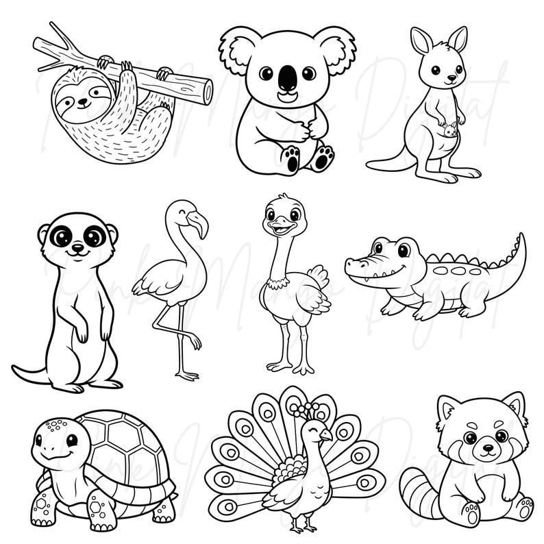 May include: Black and white line art illustrations of various animals, including a sloth, koala, kangaroo, meerkat, flamingo, ostrich, alligator, turtle, peacock, and red panda. The animals are depicted in a cartoon style.