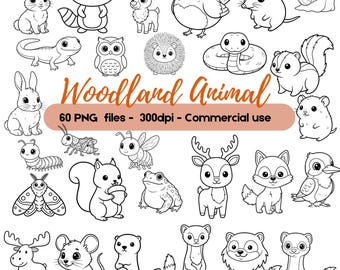 Imágenes prediseñadas de animales del bosque, 60 páginas para colorear con dibujos lineales de animales del bosque en formato PNG, gráficos de contorno de vida silvestre