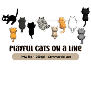 Hanging Cats Clipart PNG, Funny Kitten Digital Download, Cute Cat Graphic, Cat Lover Gift Idea, Instant Download Clipart