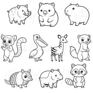 May include: Black and white line art illustrations of various animals, including a boar, wombat, capybara, lemur, pelican, zebra, ferret, armadillo, tapir, and raccoon. Each animal is depicted in a cartoon style with simple outlines.