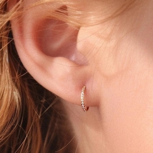 Créoles avec charnière minuscule CZ en titane 18/16 g • Anneau de nez segment articulé • Piercing tour • Créole hélicoïdale • Anneau clicker septum • Piercing conque