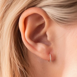 18/16G Titanium Tiny CZ Hinge Hoop Earrings • Hinged Segment Nose Ring • Rook piercing • Helix Hoop • Septum Clicker Ring • Conch Piercing