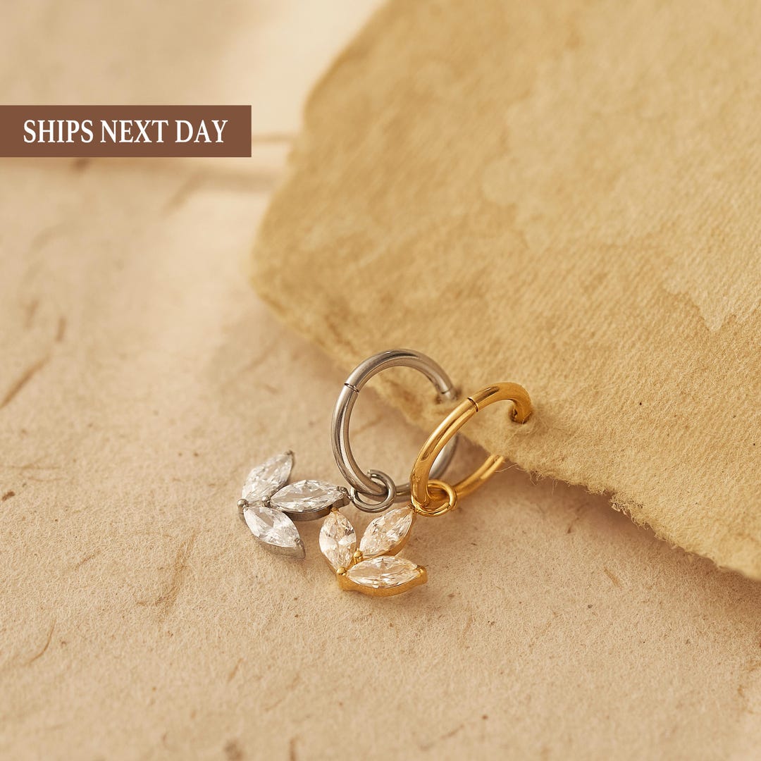 Dangle Hoop Rook Earing Titanium Tiny CZ Dangle Huggie Earrings • Drop Hoops • Rook Piercing ...