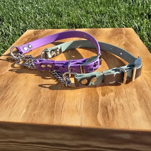 Biothane Martingale Dog Collar