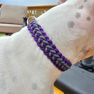 Può includere: Un ampio collare per cani realizzato in paracord intrecciato in viola vivace e un motivo grigio e nero maculato. Il collare presenta un robusto punto di attacco a D in metallo color argento, con un design a trama spessa e strutturata intorno al collo.