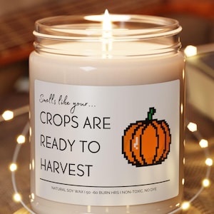 Stardew Valley; Stardew Valley Gifts; Stardew Valley Gift; Starting to Feel Exhausted; Stardew Valley Merch Candle