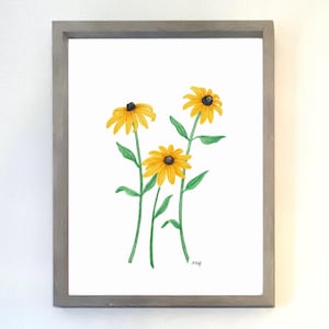 Black-Eyed Susan Print