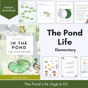 The Pond lIfe  Unit Study Islamic Learning Resource Muslim Homeschool Unit Study Name of Allah Islamic Studies Islamic Montessori