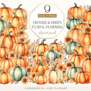 Pumpkin Png, Pumpkin Clipart, Floral Pumpkin Png, Watercolor Fall Clipart, Watercolor Pumpkin Fall Autumn Clipart, Pumpkin Arrangement