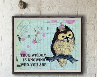 Cute Owl Photo Collage Art Poster Print,Inspirational Decor,Motivational Quote, Wisdom Art,Owl Lover Gift,Self Discovery Art,Bird Lover Gift