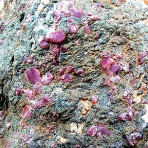 Spécimen de rubis naturel dans un cristal de zoisite - 1 kg de minéral brut de qualité collection, Malatya, Turquie