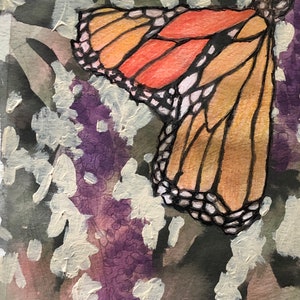 Butterfly Bush Series #3