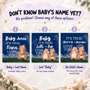 May include: A graphic display showing three personalized book cover options with a dark blue night sky, stars, and brown bears. Text includes DON'T KNOW BABY'S NAME YET?, Baby Jones, IT'S TRUE! NANA LOVES YOU!, Baby, LOLLI AND POP, and IT'S TRUE! GRAMMY AND GRANDPA LOVE YOU!