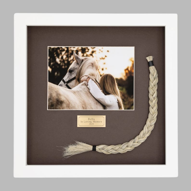 Shown with Chocolate Matboard and Gold Plaque. Tail